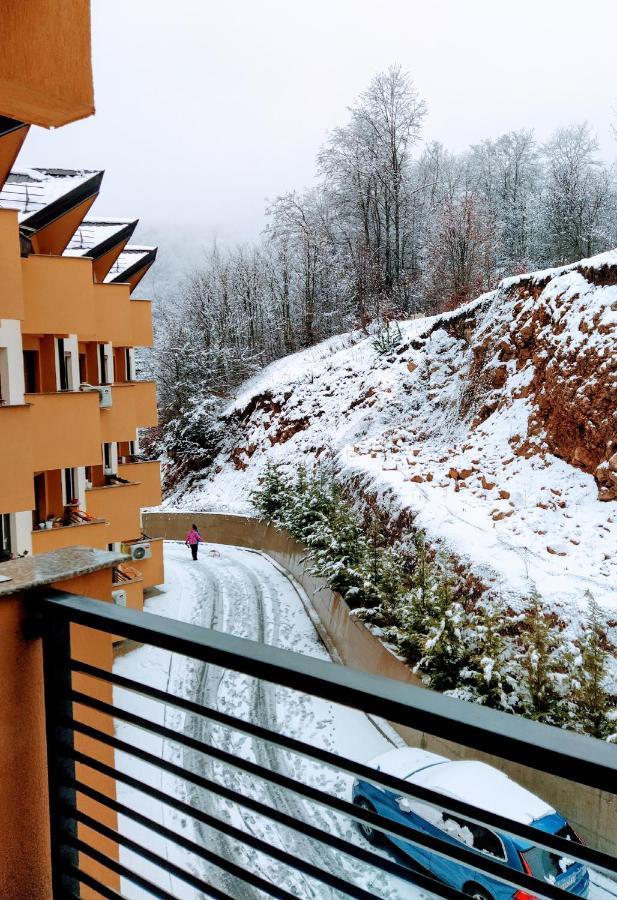 Andrey Apartment Mavrovo-Nationalpark Exterior foto